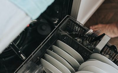 Quick Thermador Dishwasher Door Spring Repair